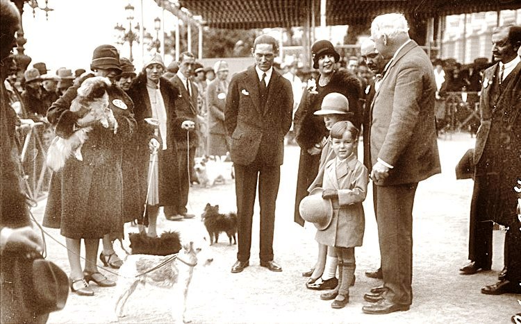 Монако выставка собак 1927 год